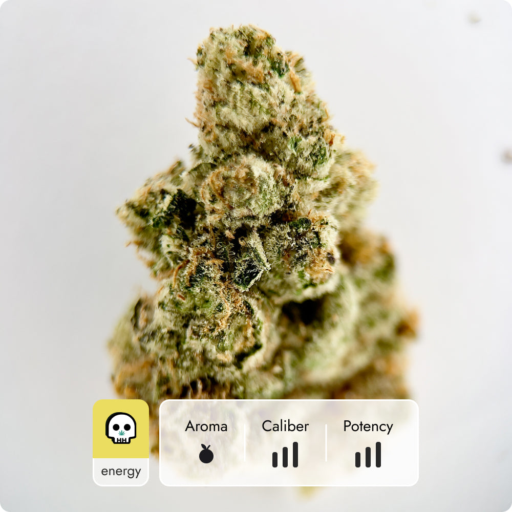'Sour Jack' Reserve THCA Flower - Hybrid | 'Energize'