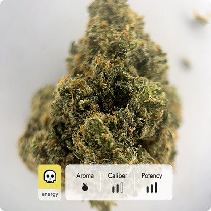 'Sour Jack' Select THCA Flower - Hybrid | 'Energize'