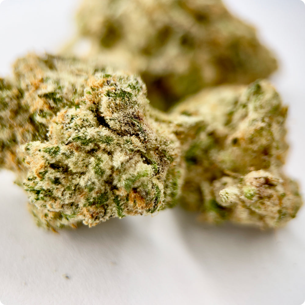 'Sour Jack' Reserve THCA Flower - Hybrid | 'Energize'
