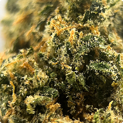 'Sour Jack' Select THCA Flower - Hybrid | 'Energize'