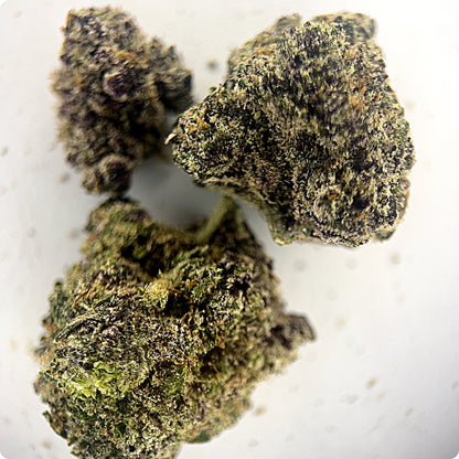 'Super Boof' Reserve THCA Flower - Hybrid | 'Focus'