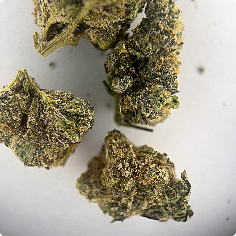 'Super Glue' Classic THCA Flower - Hybrid | 'Energize'