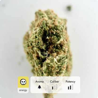 'Super Silver Haze' Reserve THCA Flower - Hybrid | 'Classic'