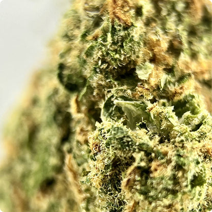 'Super Silver Haze' Reserve THCA Flower - Hybrid | 'Classic'