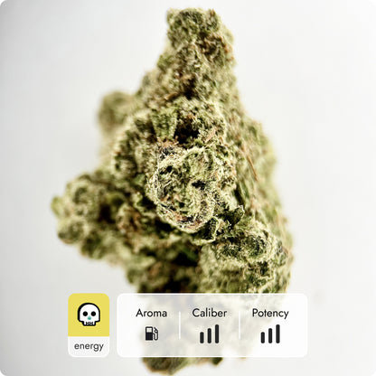 'Tangie' Select THCA Flower - Hybrid | 'Energize'