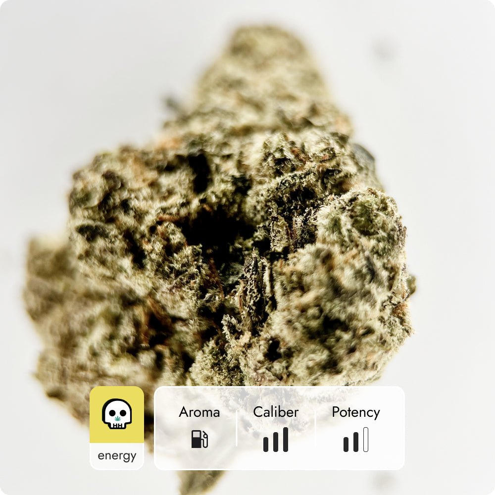 'Thai' Reserve THCA Flower - Sativa | 'Energize'