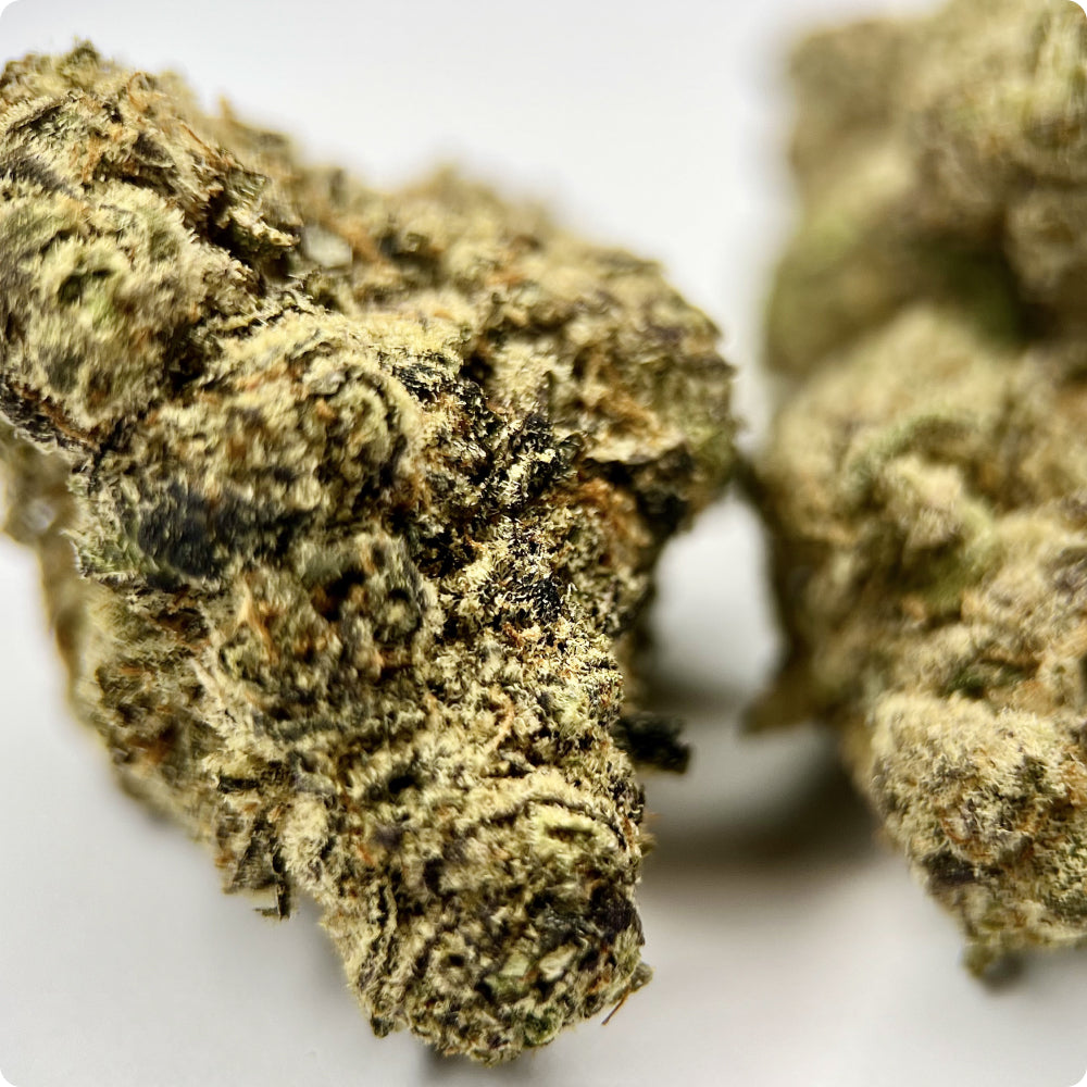 'Thai' Reserve THCA Flower - Sativa | 'Energize'