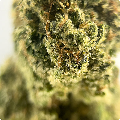 'Zoap' Classic THCA Flower - Hybrid | 'Relax'